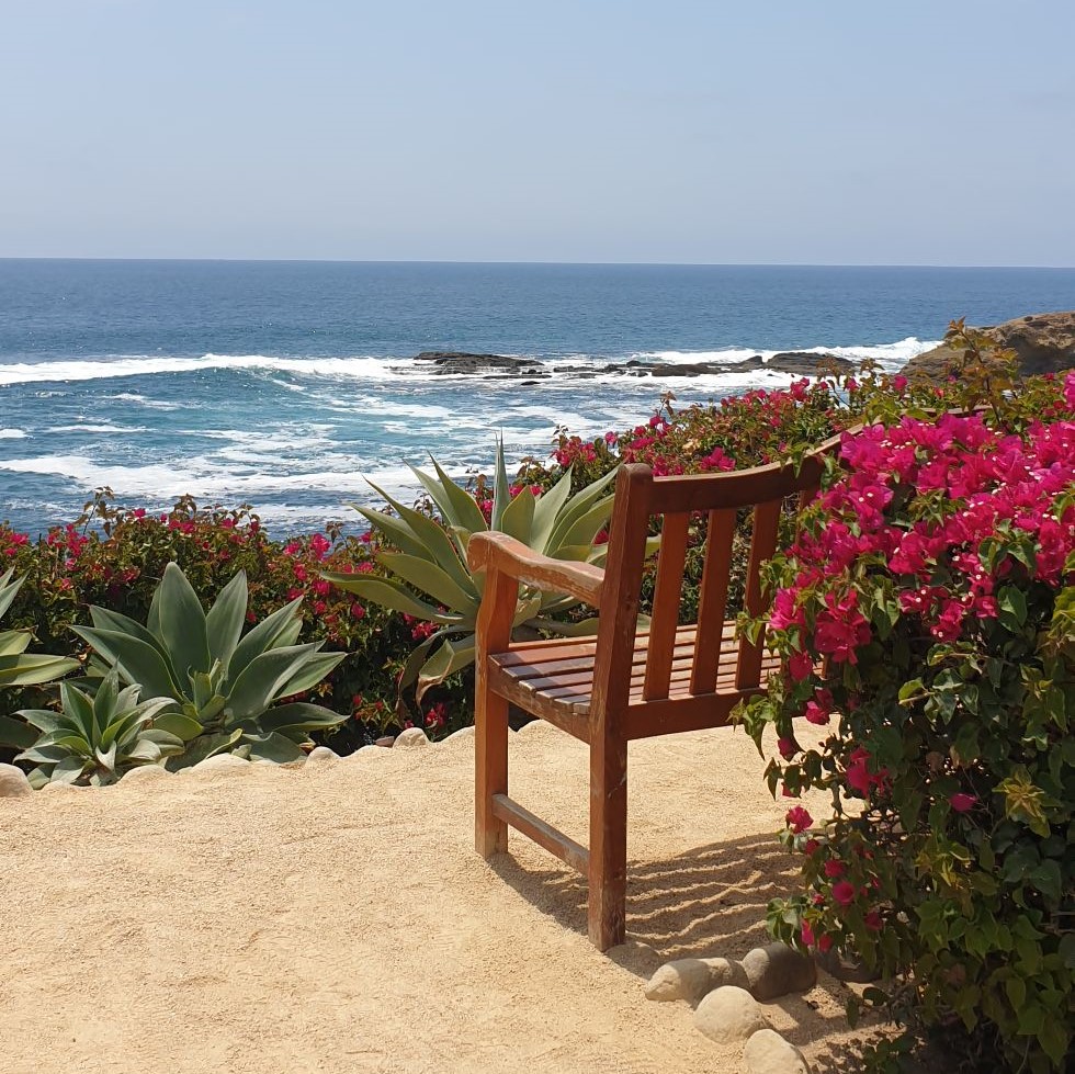 empty chair overlooking turquoise and blue ocean water. Bougainvillea and agave plants in landscape. Beautiful place to meditate