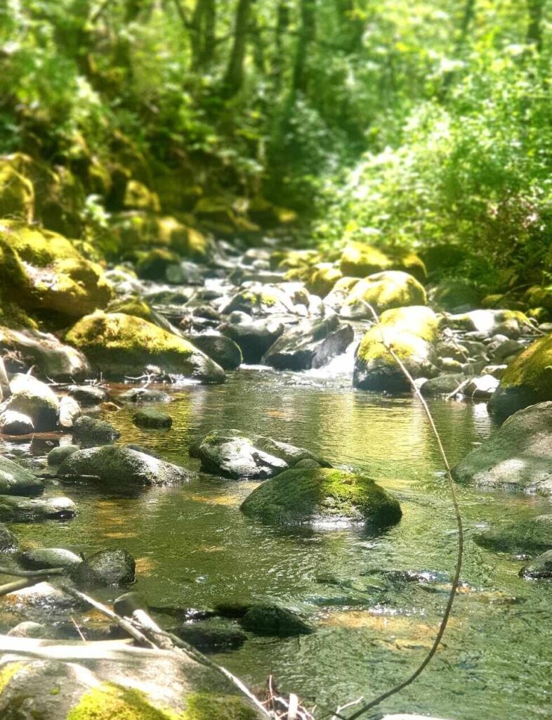 Ashland Creek