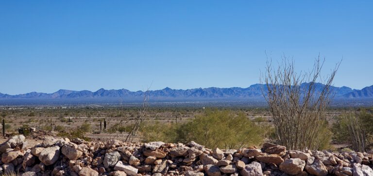 Sonoran Dessert view